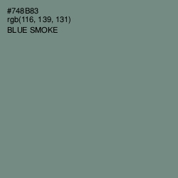 #748B83 - Blue Smoke Color Image